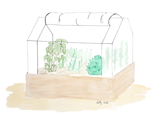 small greenhouse box illustrating balcony gardening &copy; 2018 Sally Coale and AGS Stainless Inc.