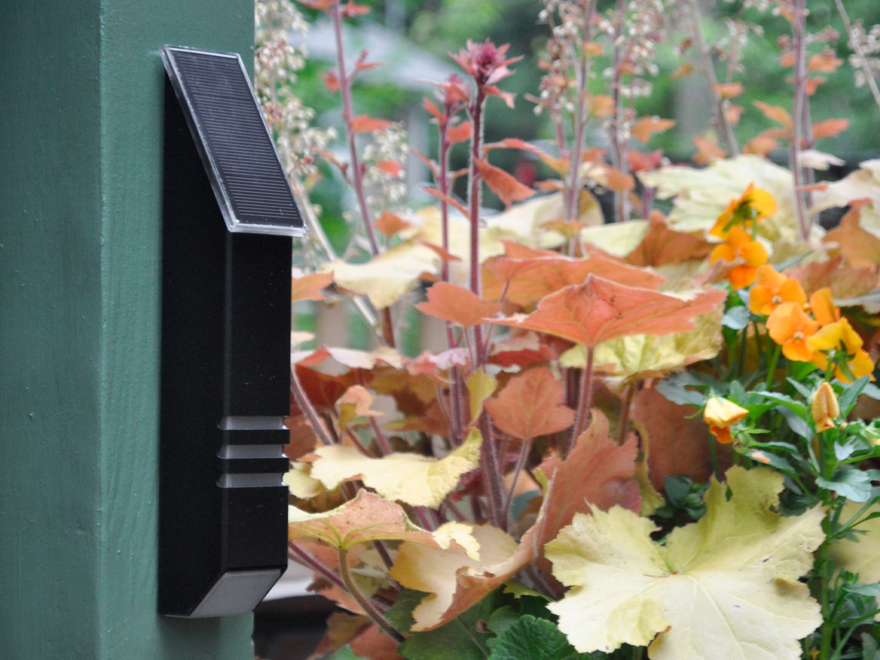 Outdoor solar LED lights article displaying a black powder coat solar light. Battery operated solar light.